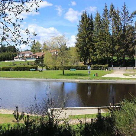 Gite Avec Cheminee, Terrasse Et Wifi - Animaux Acceptes - Fr-1-496-163 Usson-en-Forez Exterior foto